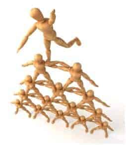 project management courses feedback