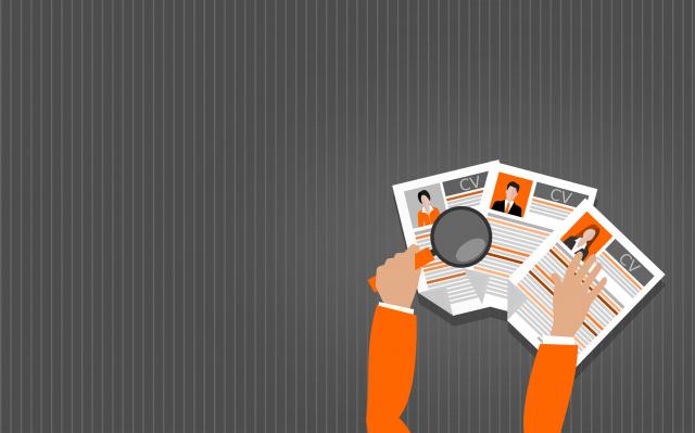 project manager CV