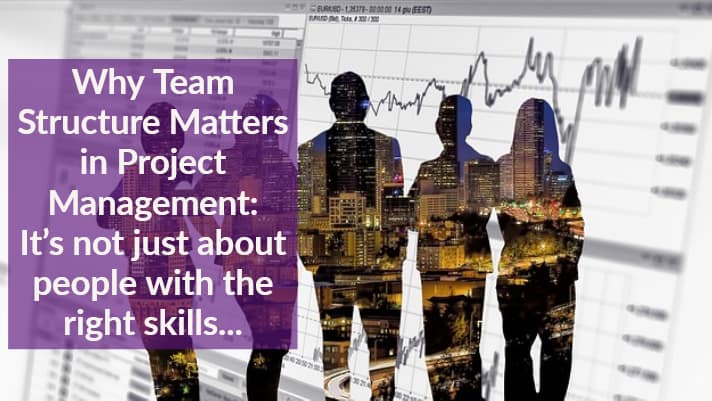 team structure