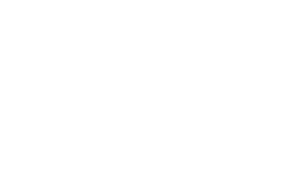 Parallel Project Training logo